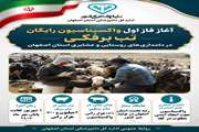 فاز اول واکسیناسیون رایگان تب برفکی در دامداری های روستایی و عشایری استان اصفهان 